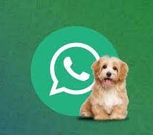 WhatsApp para veterinária
