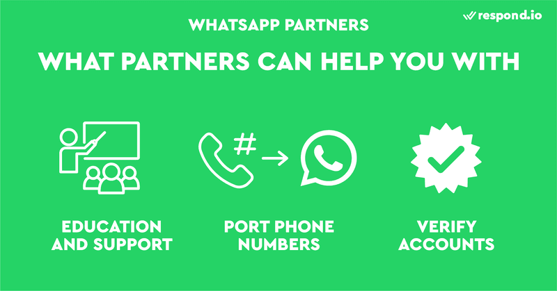 Provedor WhatsApp api: O que é um fornecedor de soluções empresariais da WhatsApp?